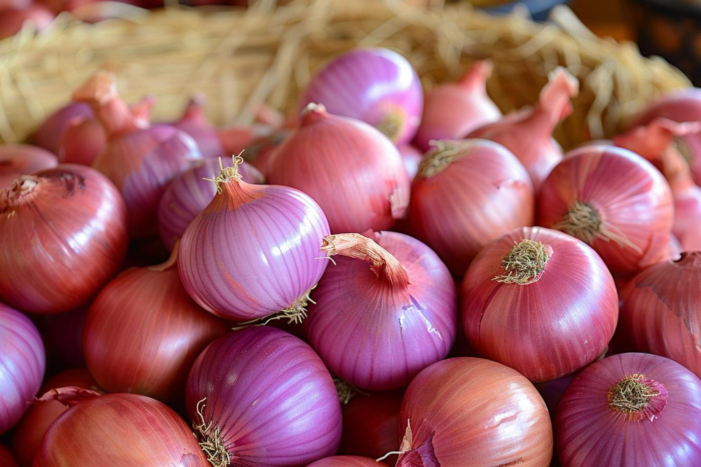 High-Quality Onion Export From India- Easyway Impex